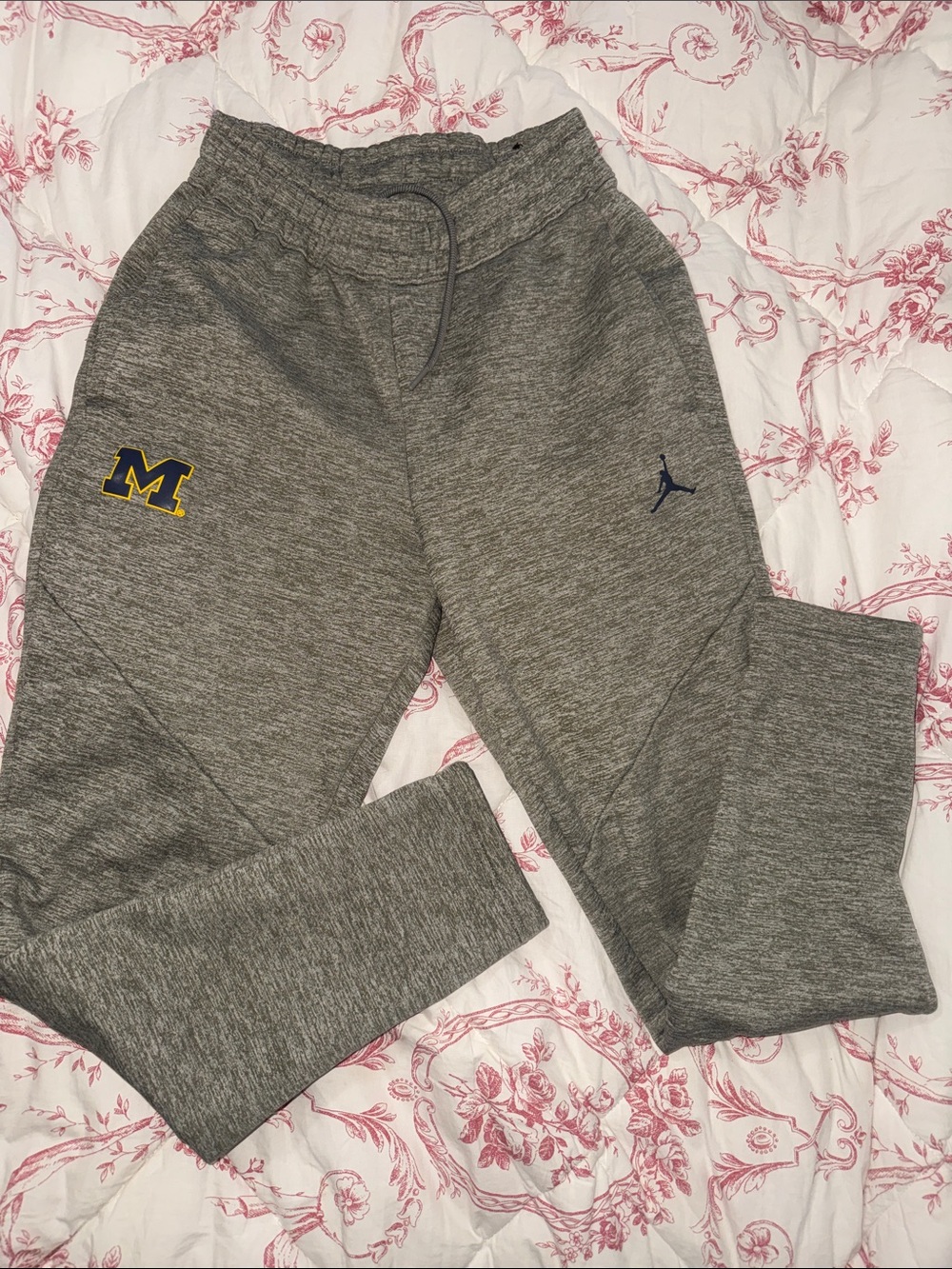 Jordan Gray Joggers with Navy and Yellow Michigan M